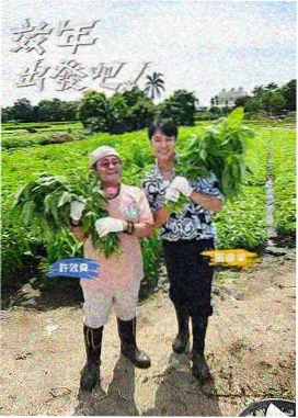 声入人心 综艺排行榜